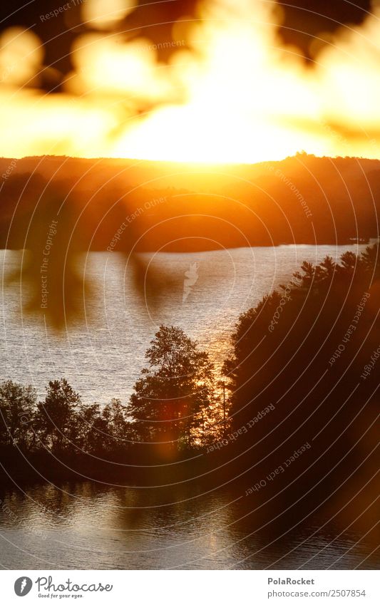 #A# Sonnenmorgen Umwelt Natur Landschaft Sonnenlicht Wetter Schönes Wetter Wald Hügel Seeufer ästhetisch Waldrand Wärme Idylle Kanada Farbfoto mehrfarbig