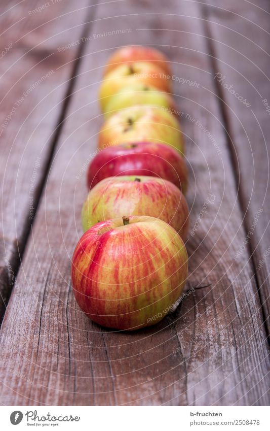 eine Reihe Äpfel Lebensmittel Frucht Bioprodukte Vegetarische Ernährung Gesunde Ernährung Sommer Herbst Holz wählen frisch Gesundheit genießen Apfel Ordnung