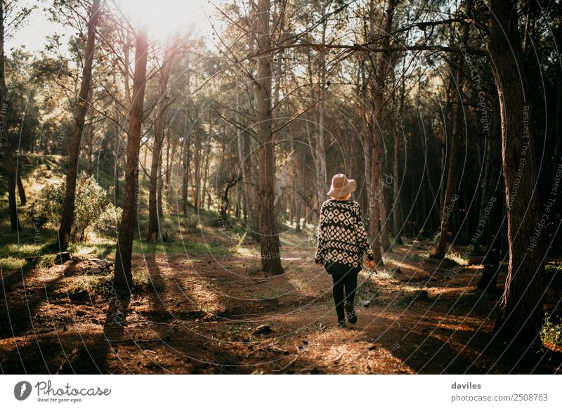 Junge Frau mit Hut macht bei Sonnenuntergang einen Spaziergang im tiefen Wald. Lifestyle Freude Ferien & Urlaub & Reisen Abenteuer Freiheit Sightseeing