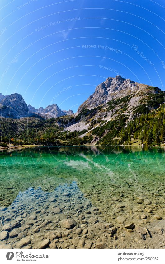 Klare Welten Umwelt Natur Wasser Sommer Schönes Wetter Alpen Berge u. Gebirge Gipfel Seeufer frisch grün Abenteuer Einsamkeit entdecken Erholung Freiheit