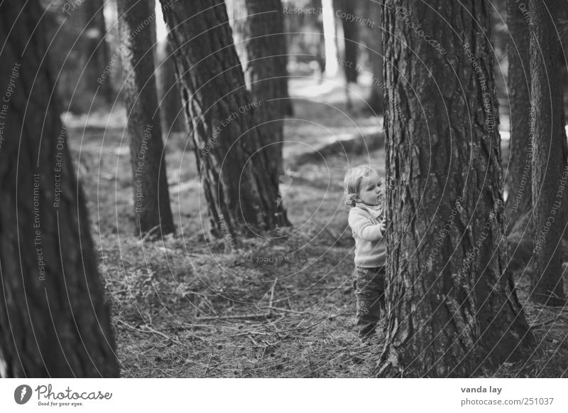 Eckstein Eckstein! Spielen Mensch Kind Kleinkind Mädchen Kindheit Leben 1 1-3 Jahre Baum Moos Baumstamm Wald berühren stehen grau Stimmung Neugier Interesse