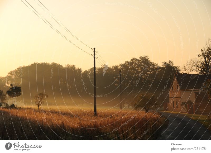 Kossenblatt Natur Landschaft Himmel Wolkenloser Himmel Sonnenaufgang Sonnenuntergang Herbst Schönes Wetter Nebel Baum Gras Sträucher Feld Weide Deutschland Dorf