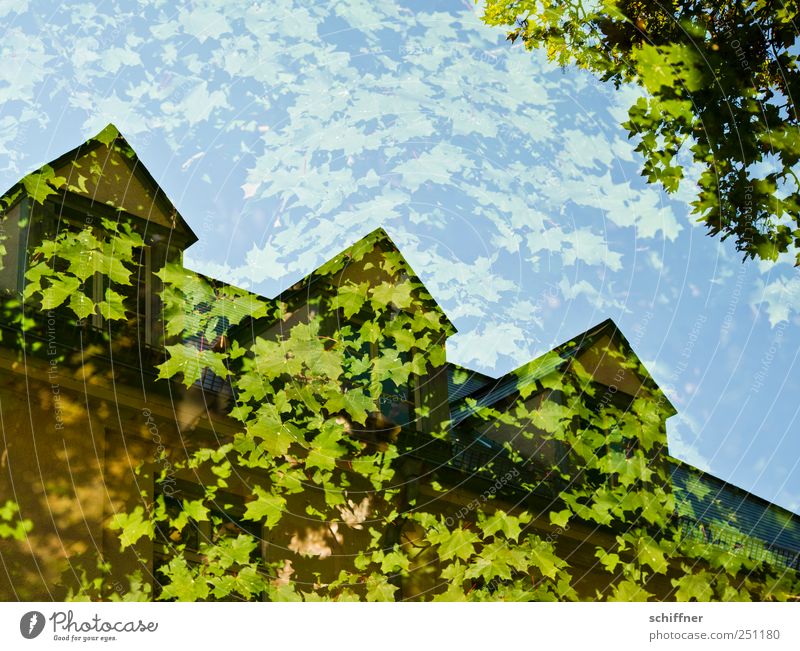 Chamansülz | Baumhaus I Blatt Grünpflanze Haus Bauwerk Gebäude Fenster Dach Dachgaube grün Blätterdach Ahorn Ahornblatt Doppelbelichtung ökologisch
