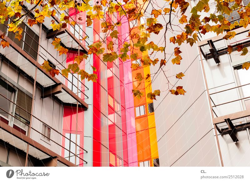 herbst hoch haus Bildung Studium Herbst Blatt Stadt Essen Hochhaus Bauwerk Gebäude Architektur Fassade mehrfarbig Farbe komplex Kreativität Farbfoto