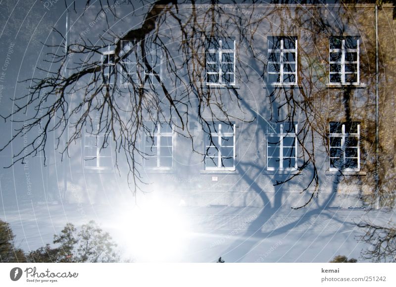 [CHAMANSÜLZ 2011] Von Bäumen umzingelt Umwelt Natur Pflanze Sonne Sonnenlicht Schönes Wetter Baum Ast Zweig Haus Gebäude Mauer Wand Fassade Fenster hell