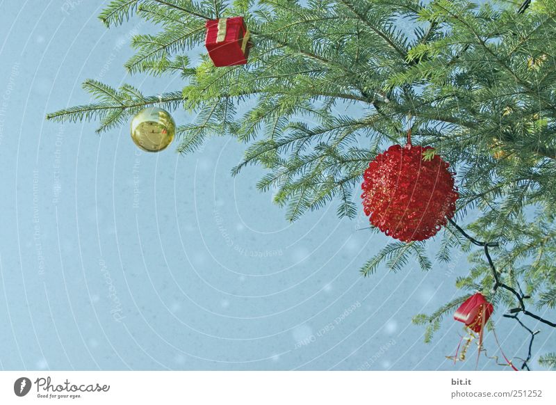 Schon Geschenke gekauft?? Wohnung Umwelt Luft Winter Schneefall Baum Dekoration & Verzierung Schleife Kitsch Krimskrams hängen blau gold grün rot Tradition
