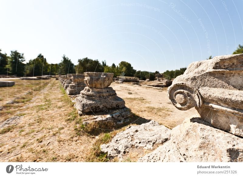 Olympia Ruine Vergangenheit Griechenland Peloponnes Olympiade Säule Architektur Antike Bauwerk Gebäude Tempel ionische säulen Farbfoto Außenaufnahme Nahaufnahme