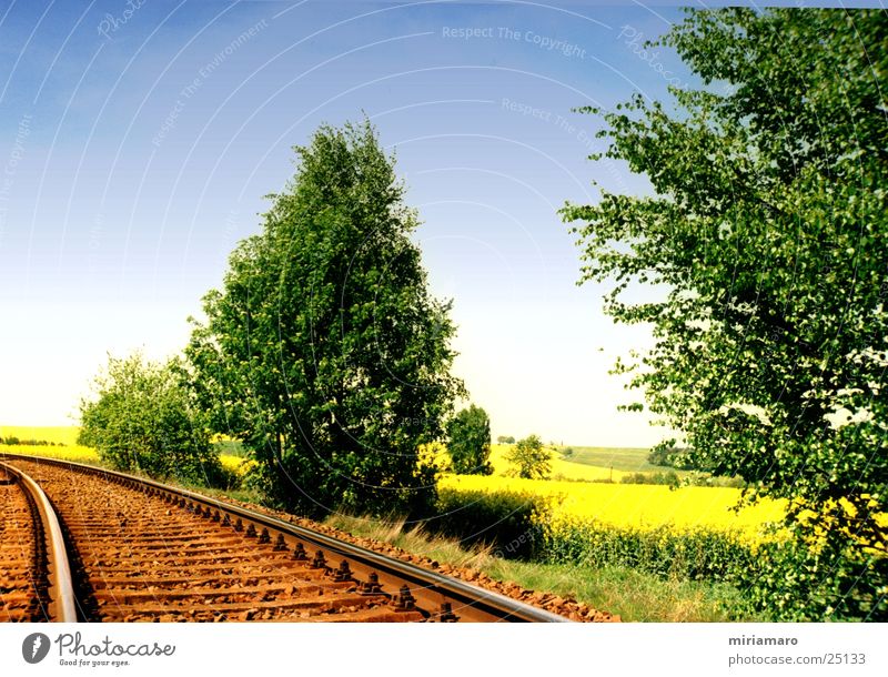 Mit der Eisenbahn durchs Rapsfeld Sommer Baum Bahnschiene Farbe Himmel