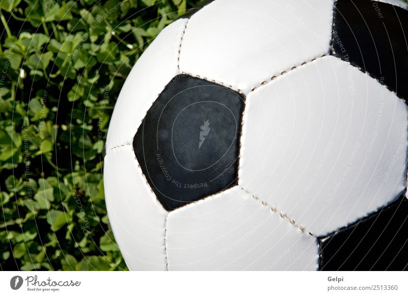 Fußball Freude Glück Leben Freizeit & Hobby Spielen Sport Erfolg Stadion Erde Gras Wege & Pfade Leder Kugel grün schwarz weiß Konkurrenz vereinzelt Team