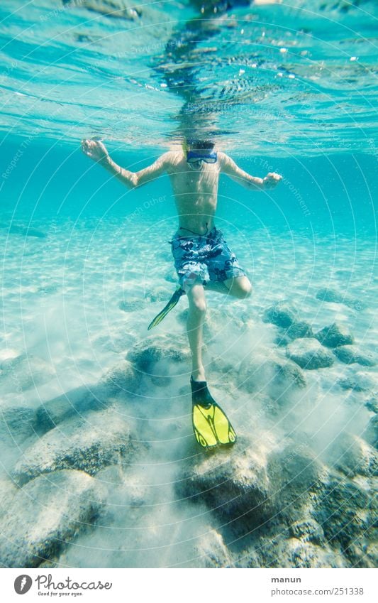 Wasserballett Freizeit & Hobby Wassersport Schwimmen & Baden tauchen Schnorcheln Mensch Junge Kindheit Jugendliche Leben 1 Natur Meer Meeresboden Sardinien