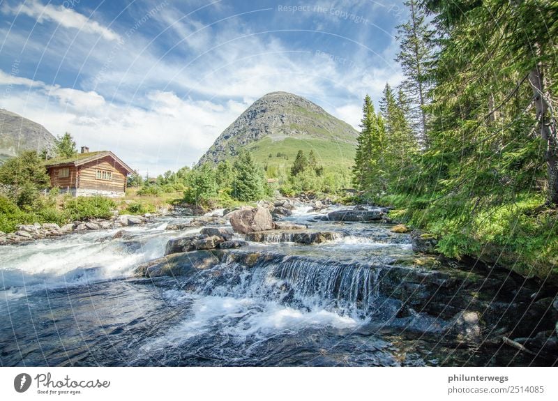 Hütte an einem Fluss in Norwegen bei Sonnenschein Ferien & Urlaub & Reisen Ausflug Abenteuer Ferne Freiheit Expedition Camping Umwelt Natur Landschaft