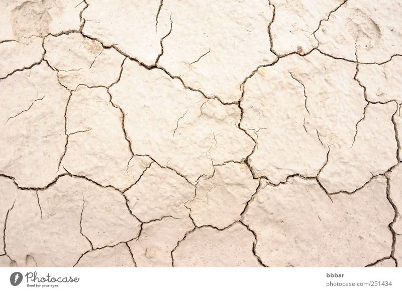 Getrocknete und gerissene Erde Sommer Umwelt Natur Landschaft Sand Klima Klimawandel Wetter Dürre Wüste dreckig heiß natürlich braun grau Tod Desaster Boden