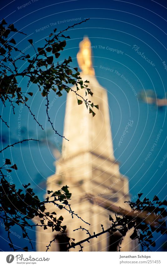 gold in blau Kultur England Europa Stadtzentrum Turm Bauwerk Gebäude Architektur ästhetisch Blauer Himmel Zweige u. Äste Silhouette glänzend Durchblick
