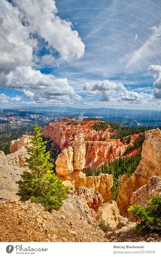 Bryce Canyon Nationalpark, Utah, USA Ferien & Urlaub & Reisen Tourismus Abenteuer Freiheit Sommer Berge u. Gebirge wandern Natur Landschaft Himmel Baum Hügel