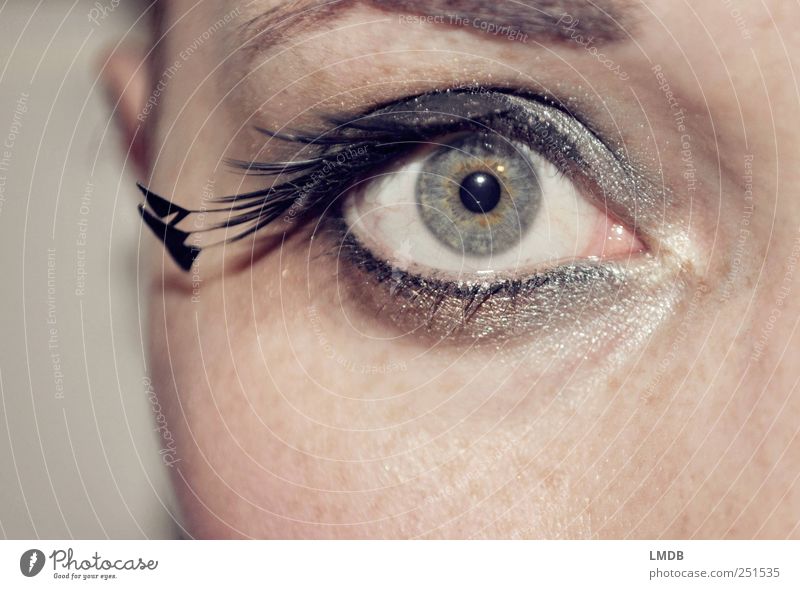 Pfauen-Auge Stil schön Gesicht Schminke Wimperntusche Mensch feminin 1 ästhetisch glänzend schwarz silber Coolness Begierde Neugier Überraschung eitel kalt