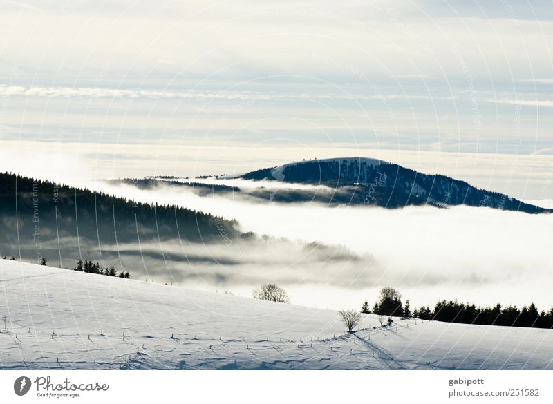 Winter im Ländle Tourismus Ausflug Ferne Schnee Berge u. Gebirge wandern Umwelt Natur Himmel Wolken Wetter Schönes Wetter Nebel Eis Frost kalt blau weiß