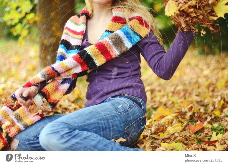 mit Schwung Mensch feminin Junge Frau Jugendliche 1 18-30 Jahre Erwachsene Natur Herbst Schönes Wetter Blatt Garten werfen Fröhlichkeit mehrfarbig gelb Gefühle