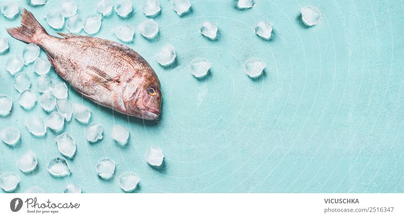 Rosa Dorado Fisch auf hellblau mit Eiswürfeln Lebensmittel Ernährung Bioprodukte Vegetarische Ernährung Diät kaufen Stil Design Gesundheit Gesunde Ernährung