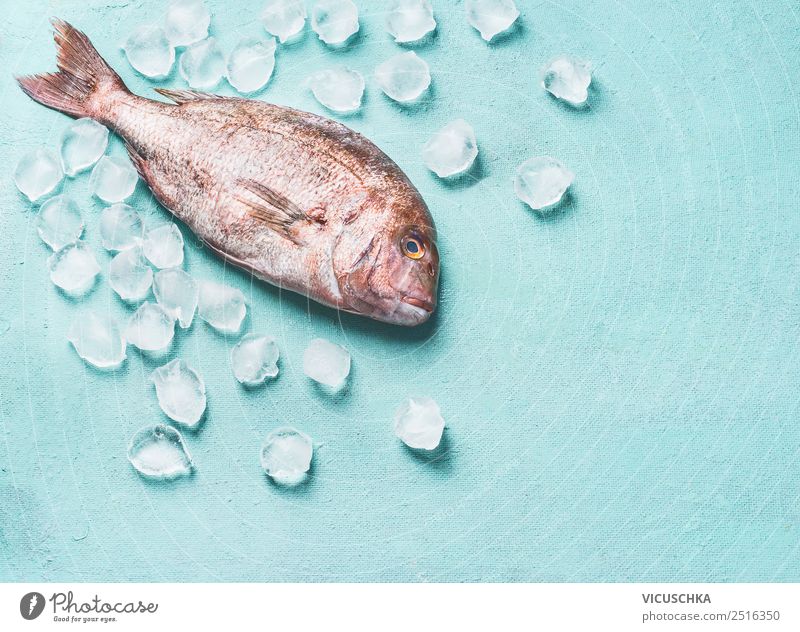 Raw whole fish on light turquoise background with ice cubes, top view. Seafood concept. Pink dorado. Cooking preparation above cooking cuisine delicious fishing