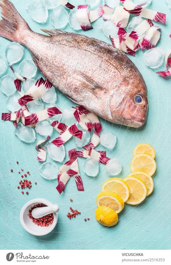 Ganzer Dorado Fisch mit Eiswürfeln und Zutaten Lebensmittel Ernährung Diät Design Gesunde Ernährung Tisch Restaurant rosa Stil Feinschmecker roh Zitrone