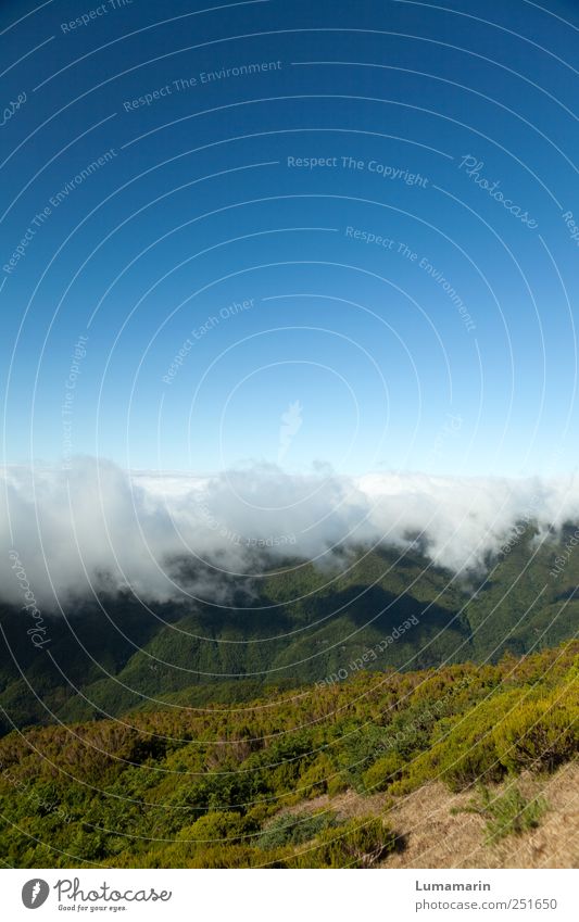 Wolkenband Landschaft Urelemente Erde Luft Himmel Wolkenloser Himmel Horizont Wetter Schönes Wetter Berge u. Gebirge Insel Madeira Ferne gigantisch groß