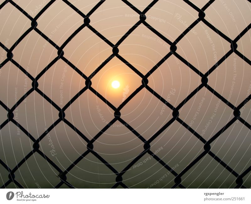 Sonne im Netz Luft Sonnenaufgang Sonnenuntergang Sonnenlicht Klima Wetter Nebel Wiese Feld Metall außergewöhnlich ruhig entdecken Symmetrie Farbfoto