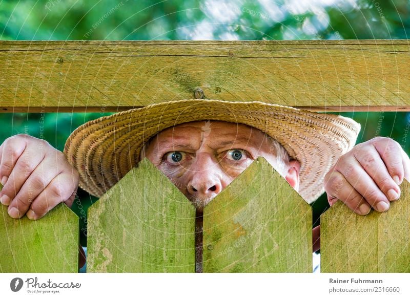 ein neugieriger Nachbar blickt über einen Gartenzaun Mensch maskulin Mann Erwachsene Männlicher Senior Gesicht 1 60 und älter beobachten Neugier Misstrauen Neid