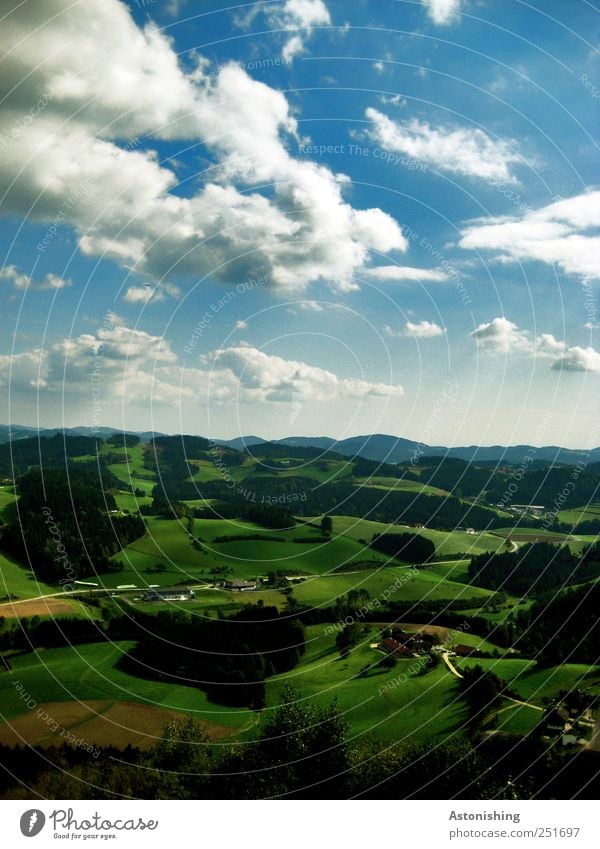 Hügellandschaft (Auenland) Umwelt Landschaft Pflanze Luft Himmel Wolken Horizont Herbst Klima Wetter Schönes Wetter Baum Gras Sträucher Grünpflanze Wiese Wald