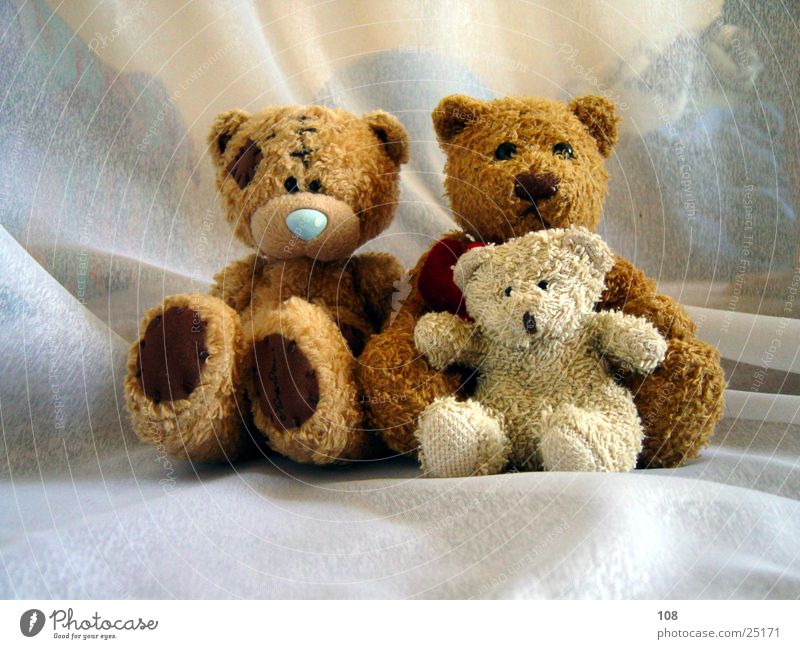 Auch nur Menschen Teddybär Familie & Verwandtschaft Frieden harmonisch Freude Fototermin mehrere sitzen Zusammensein Blick in die Kamera 3