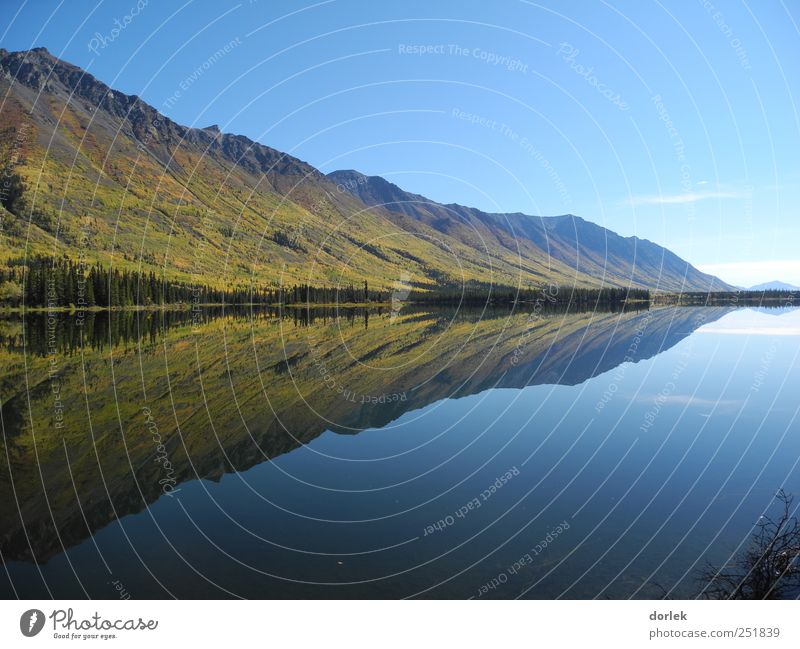 Annie Lake - doppelt schön Natur Landschaft Wasser Himmel Wolkenloser Himmel Horizont Herbst Schönes Wetter Berge u. Gebirge Teich See Whitehorse ästhetisch
