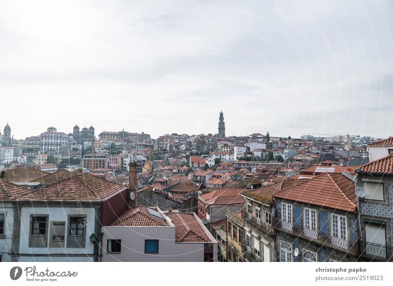 Portos Dächer Portugal Europa Stadt Stadtzentrum Altstadt Haus Dach Ferien & Urlaub & Reisen Reisefotografie Städtereise Farbfoto Außenaufnahme