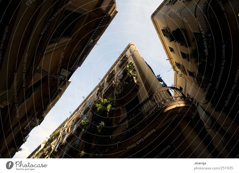 Balkon hoch aufstrebend Barcelona Spanien dunkel eng Fassade Dekoration & Verzierung Grünpflanze Haus Häusliches Leben Immobilienmarkt Jugendstil