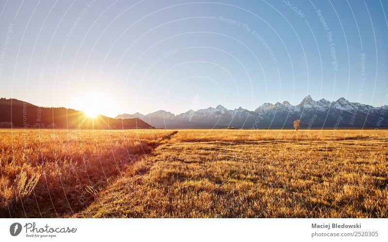Goldener Sonnenaufgang im Grand Teton Nationalpark, USA. Ferien & Urlaub & Reisen Tourismus Ausflug Abenteuer Ferne Freiheit Expedition Camping Sommerurlaub