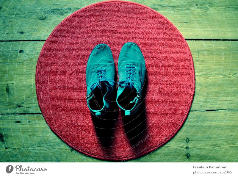 Barfuß II. kaufen Stil Wohnung Fußmatte Schuhe Turnschuh Holz rund Sauberkeit blau grün rot Schuhbänder Reißverschluss türkis Teppich Parkett Flur aufräumen