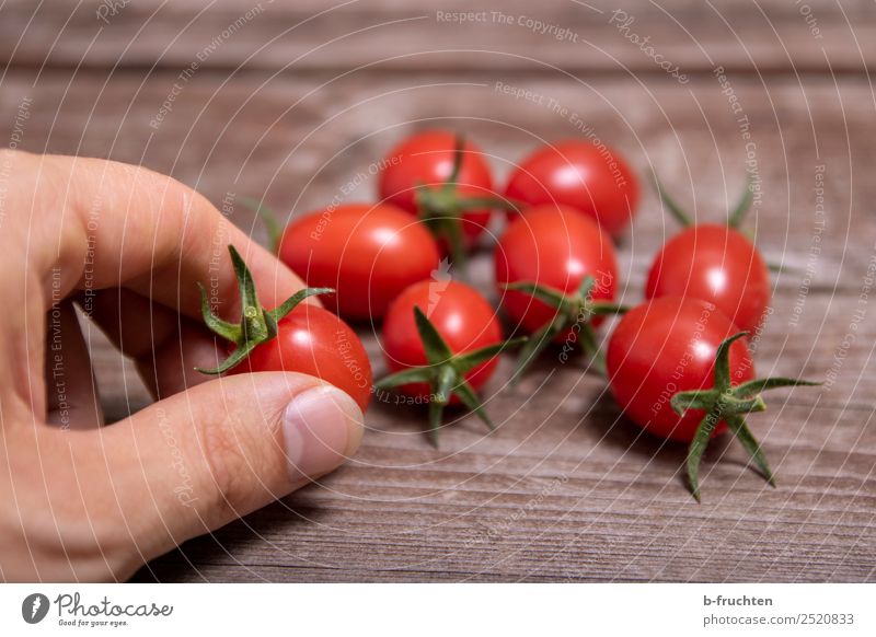 Cocktail-Tomaten Lebensmittel Gemüse Bioprodukte Vegetarische Ernährung Gesunde Ernährung Sommer Landwirtschaft Forstwirtschaft Hand Finger Holz wählen