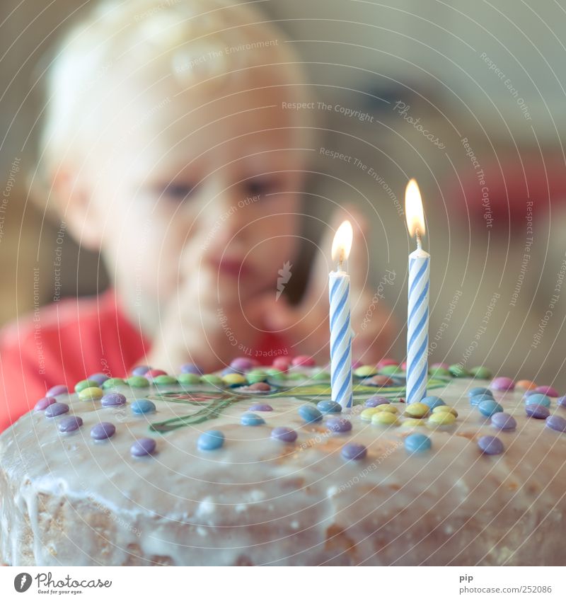 zwei Kuchen Geburtstagstorte Mensch maskulin Kind Kopf Finger 1 1-3 Jahre Kleinkind Essen Feste & Feiern blond Freude genießen Glück Wachstum Kerze Flamme 2