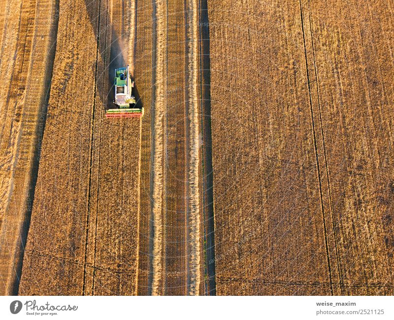 Mähdrescher Maschinenernte Landwirtschaft Weizenfeld Ferne Sommer Arbeit & Erwerbstätigkeit Industrie Business Pflanze Sonnenaufgang Sonnenuntergang Herbst
