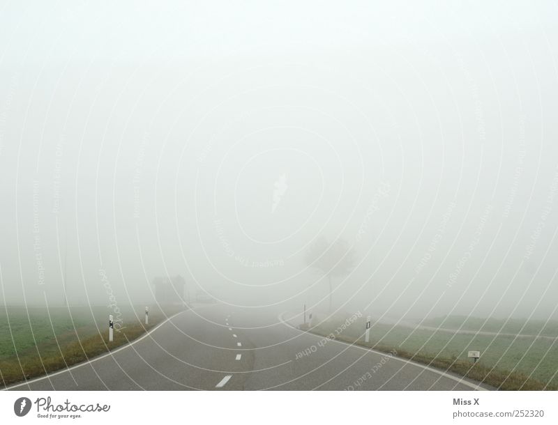 Weg ins Nichts Wetter schlechtes Wetter Nebel Verkehr Verkehrswege Straße trist grau bedrohlich Sicherheit Verkehrssicherheit Nebelschleier Nebelstimmung