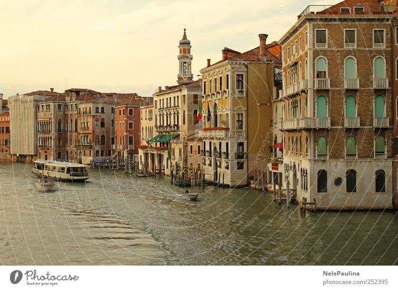 Canal Grande, Venedig Ausstellung Wasser Italien Europa Stadt Hafenstadt Altstadt bevölkert Haus Traumhaus Burg oder Schloss Gebäude Architektur Mauer Wand