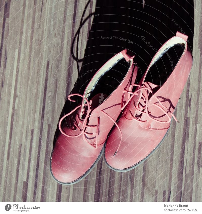 Frauenschuhe in rot Schuhe Damenschuhe Schuhbänder Mode modern Schatten Leder Licht Streifen Stil geschmackvoll Laminat herbstschuhe Farbfoto Innenaufnahme