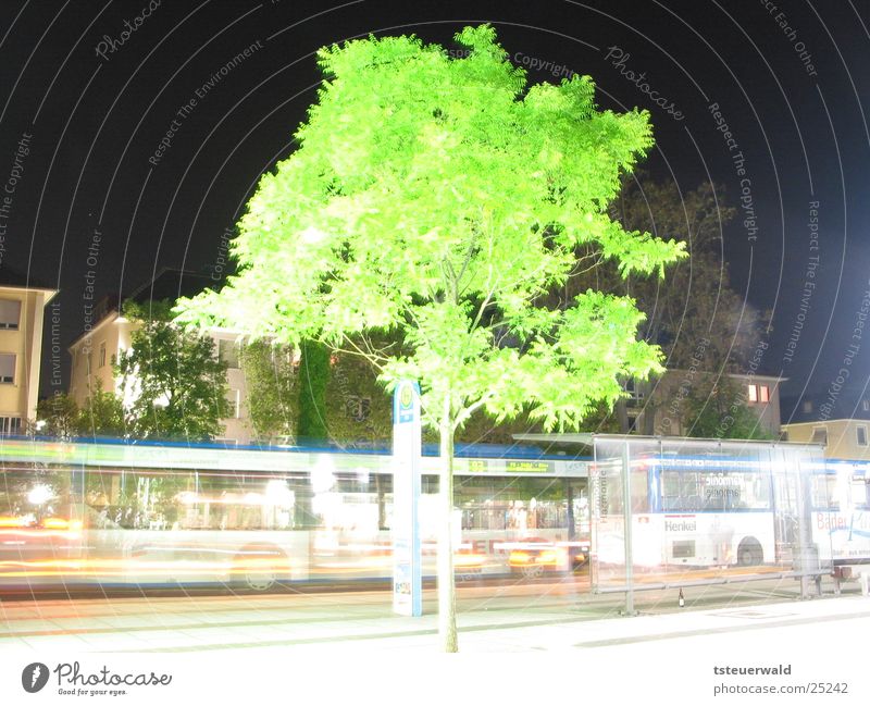 Baum vor Haltestelle Nacht Langzeitbelichtung Laubbaum Verkehr Heilbronn Station Bus Straße