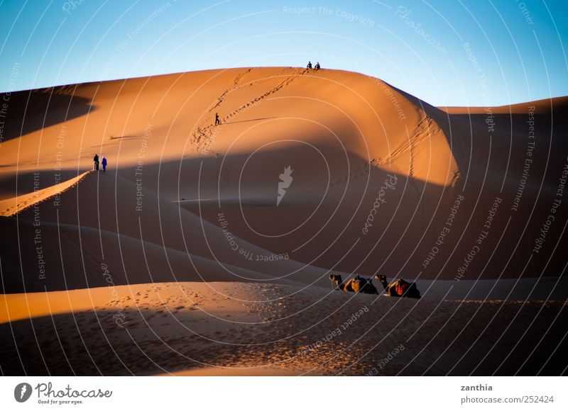 Erg Chebbi Klima Schönes Wetter Wüste Sahara Abenteuer Einsamkeit erleben Horizont Idylle Natur Ferien & Urlaub & Reisen Risiko ruhig Tourismus Tradition