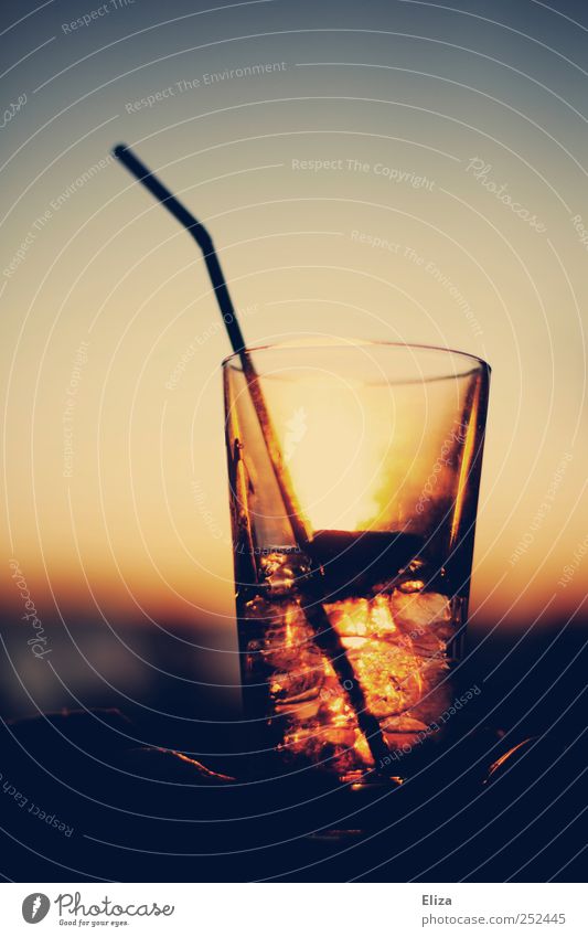 erfrischender Aperitif/Drink mit Eiswürfeln und Strohhalm im stimmungsvollen Sonnenuntergang mit Gegenlicht Getränk Limonade Alkohol Longdrink Cocktail Glas