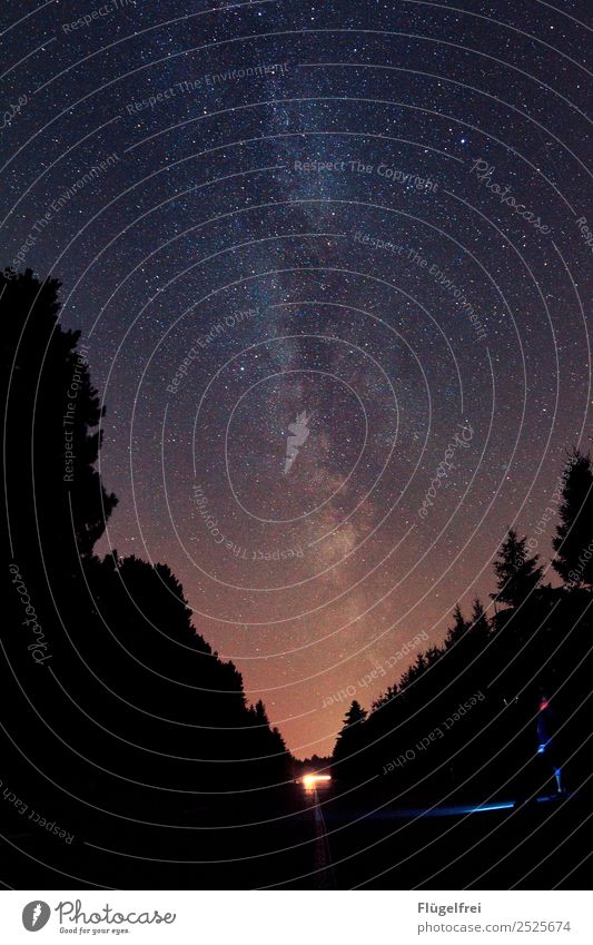 Nachtwanderung 1 Mensch beobachten Milchstrasse Himmel Stern Baum Wald Taschenlampe Weltall Horizont Lichtverschmutzung Tanne Galaxie Einsamkeit dunkel Farbfoto