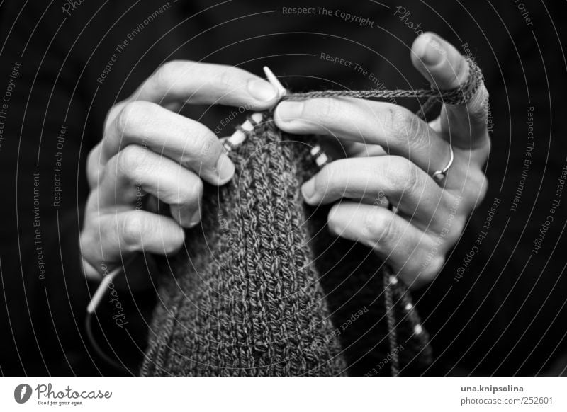 strickliesel Freizeit & Hobby Handarbeit stricken feminin Frau Erwachsene Finger 1 Mensch Bewegung festhalten machen authentisch Kreativität Wolle Stricknadel