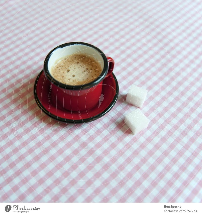 Frühstück Kaffeetrinken Getränk Heißgetränk Espresso Tasse Häusliches Leben Wohnung rosa rot weiß Untertasse Zucker Würfelzucker kariert penibel Schaum Pause