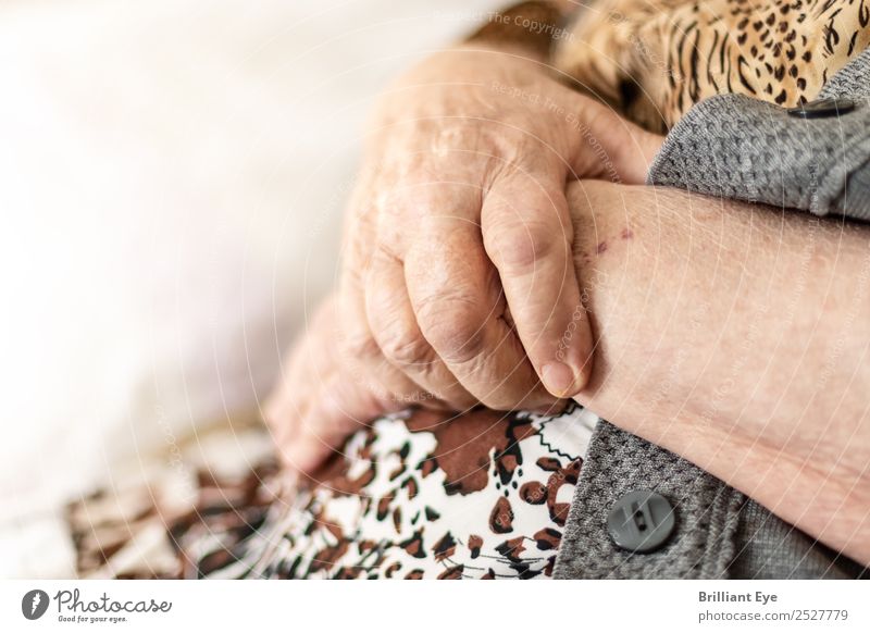 Zusammenschluss Mensch feminin Weiblicher Senior Frau Großmutter Hand 1 60 und älter Zeichen warten alt authentisch nah weich Zufriedenheit Sicherheit Schutz