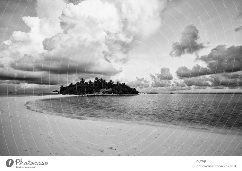 Die Insel Ferien & Urlaub & Reisen Ferne Sommer Sommerurlaub Strand Natur Wasser Himmel Wolken Küste Meer Romantik schön Idylle Malediven Asien Indischer Ozean