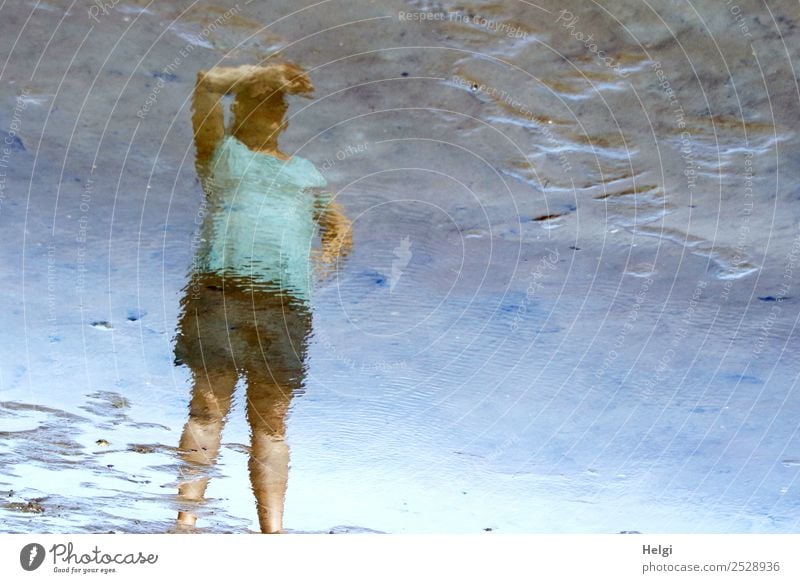 Spiegelbild einer Frau, die im Watt steht und nach oben schaut Mensch feminin Erwachsene 1 30-45 Jahre Umwelt Natur Wasser Sommer Schönes Wetter Küste Nordsee