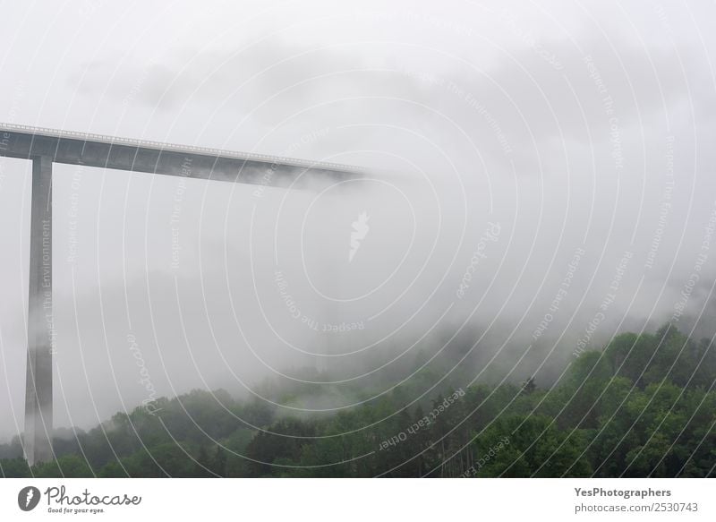 Hochmoderne Brücke, die in Nebel und Wolken verschwindet. Technik & Technologie Natur Landschaft schlechtes Wetter Wald Hügel Bauwerk Architektur Verkehr